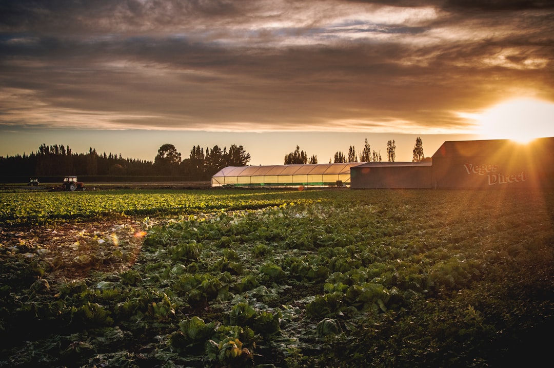 Imposto Territorial Rural — ITR para produtores rurais do Rio Grande do Sul